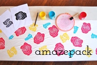 Amazepack Monthly Craft Box