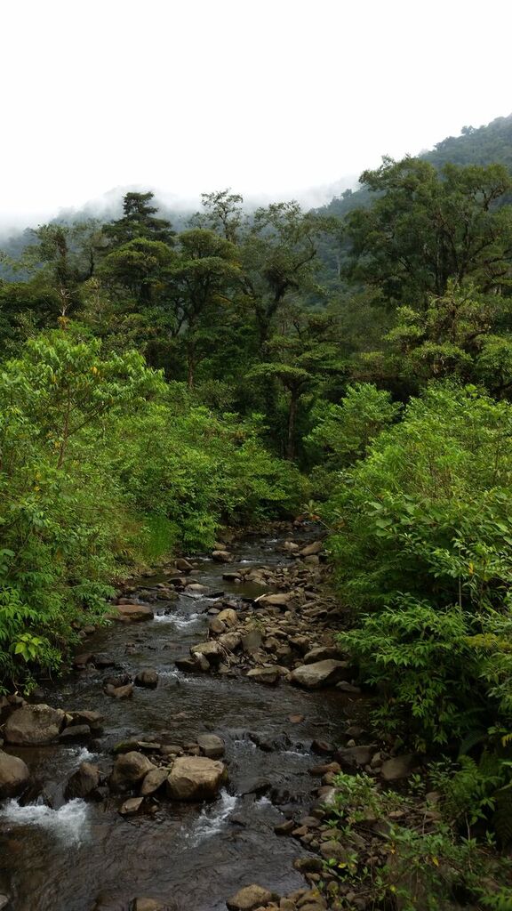 Beauty at El Silencio in Costa Rica